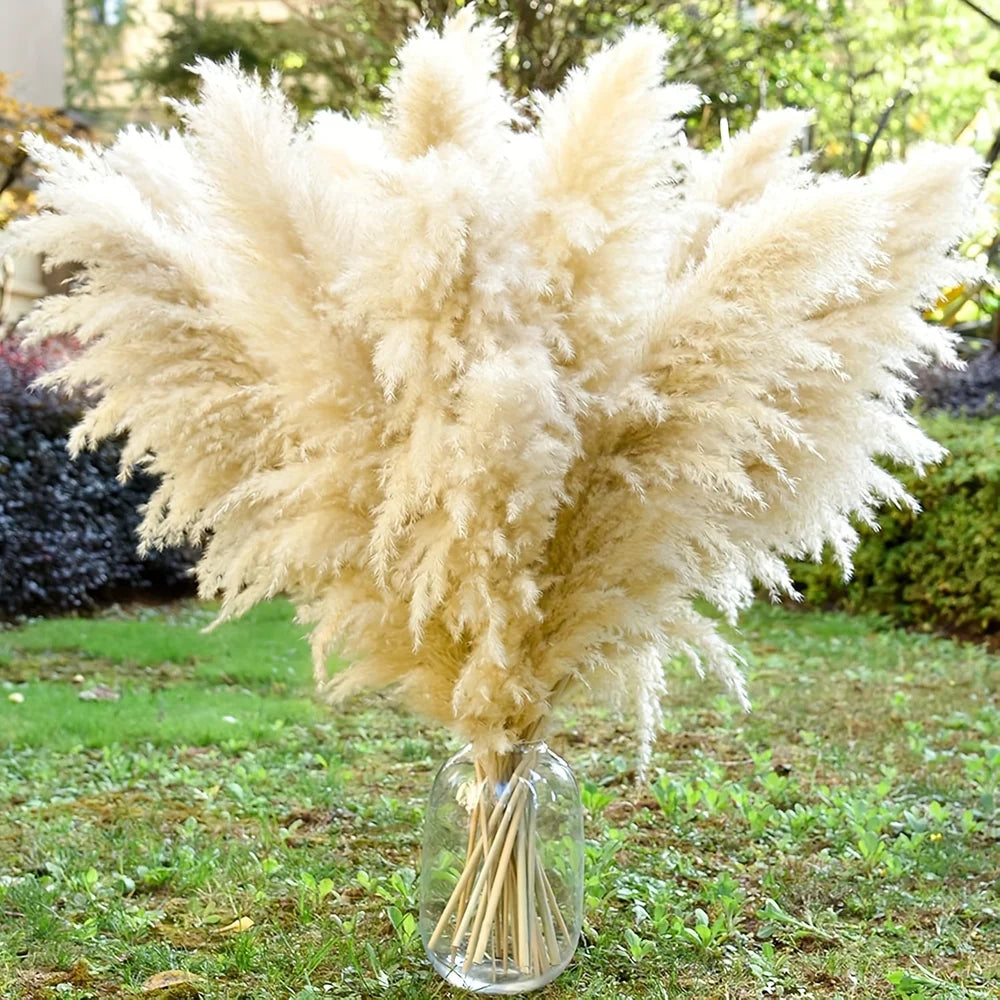 16Pcs 98cm Dried Pampas Grass Decor Tall, Large Pompas Grass, Boho Neutral Home Decor Bouquet, Fluffy Pampass Grass