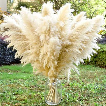 16Pcs 98cm Dried Pampas Grass Decor Tall, Large Pompas Grass, Boho Neutral Home Decor Bouquet, Fluffy Pampass Grass