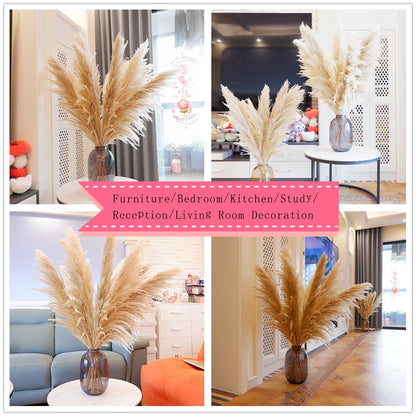 16Pcs 98cm Dried Pampas Grass Decor Tall, Large Pompas Grass, Boho Neutral Home Decor Bouquet, Fluffy Pampass Grass
