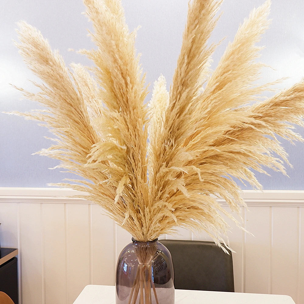 16Pcs 98cm Dried Pampas Grass Decor Tall, Large Pompas Grass, Boho Neutral Home Decor Bouquet, Fluffy Pampass Grass