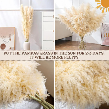 16Pcs 98cm Dried Pampas Grass Decor Tall, Large Pompas Grass, Boho Neutral Home Decor Bouquet, Fluffy Pampass Grass